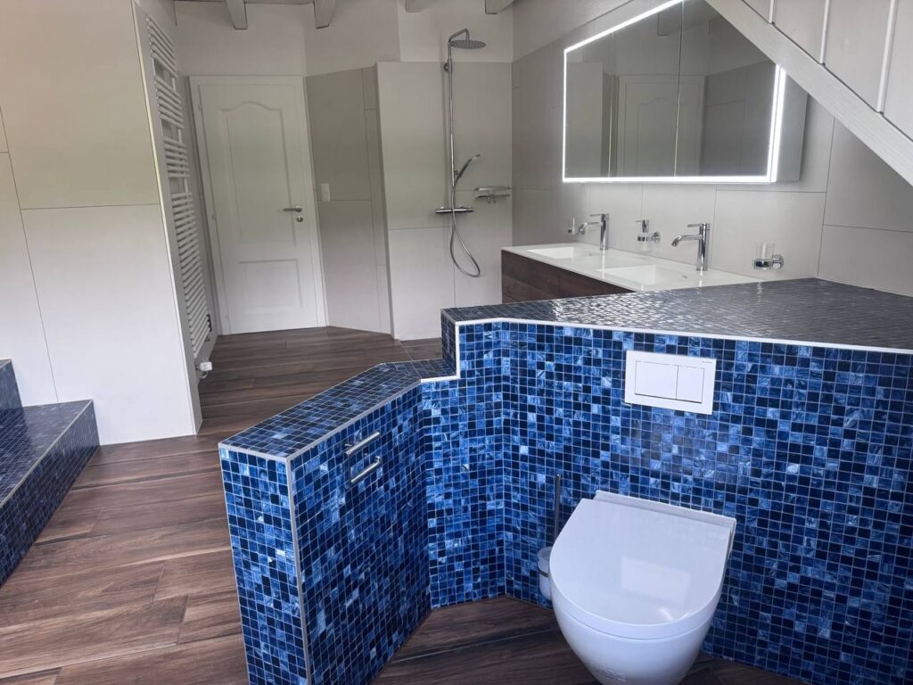 Blick auf WC, Waschtisch und Dusche